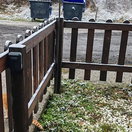 Ivavev Cedarlodge Апартаменти