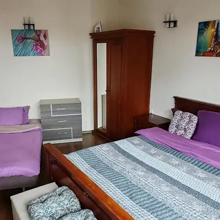 Ivavev Cedarlodge 公寓 班斯科