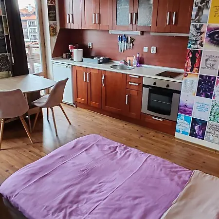 Ivavev Cedarlodge 公寓