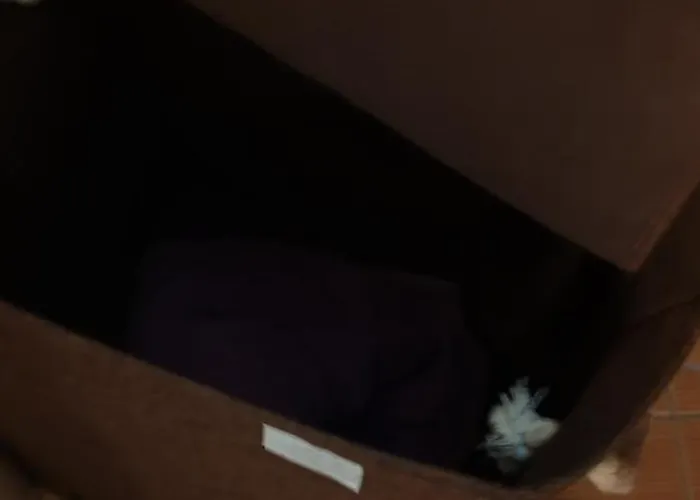 Daire Ivavev Cedarlodge Bansko